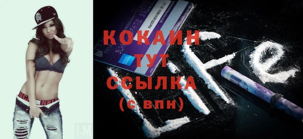 ECSTASY Елизово