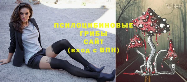 круглые Ельня