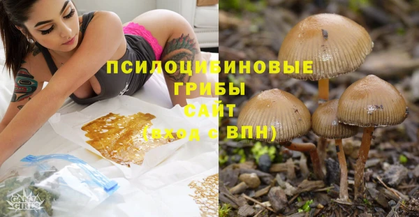 круглые Ельня