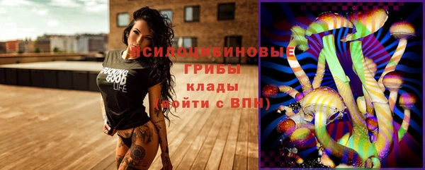 ECSTASY Елизово
