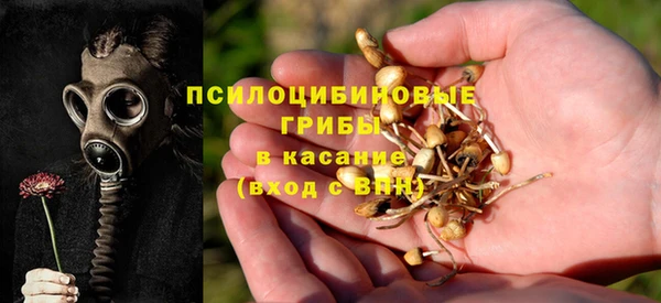jwh Елабуга