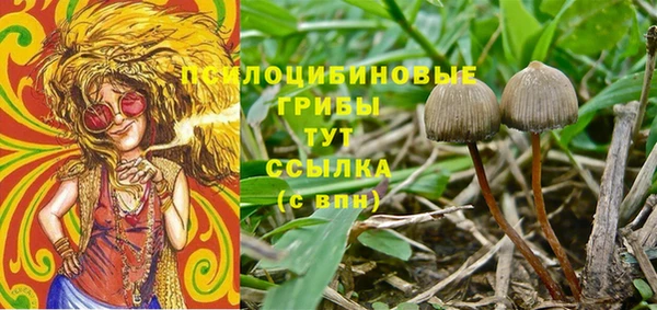 ECSTASY Елизово