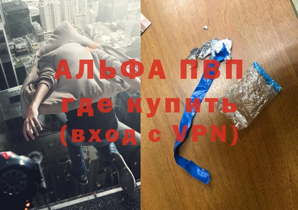 ECSTASY Елизово