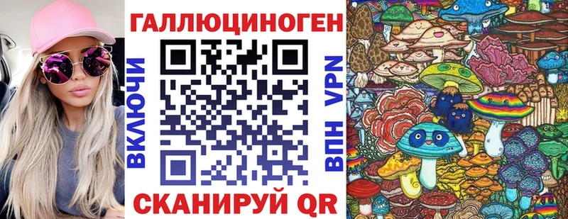 Купить  Магадан  Псилоцибиновые грибы Psilocybe 